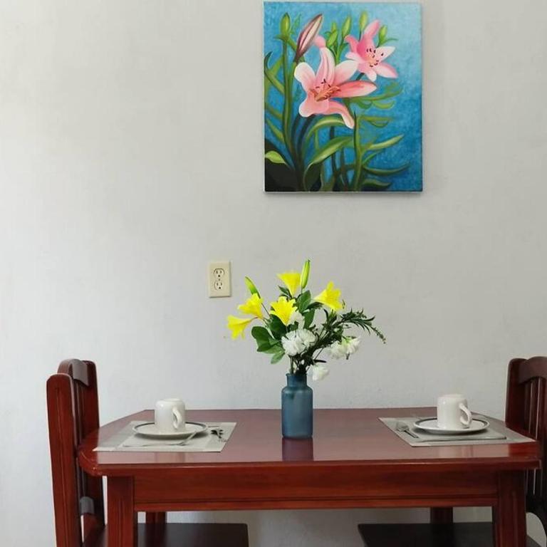 Departamento Rosi Cerca de Juzgado Familiar - Apartamento de 1 dormitorio - 34