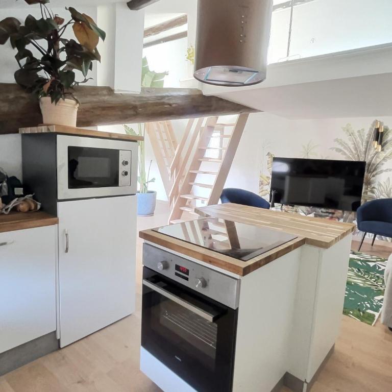 Jungle Loft Béziers centre - Appartement 2 Chambres avec Terrasse - 13