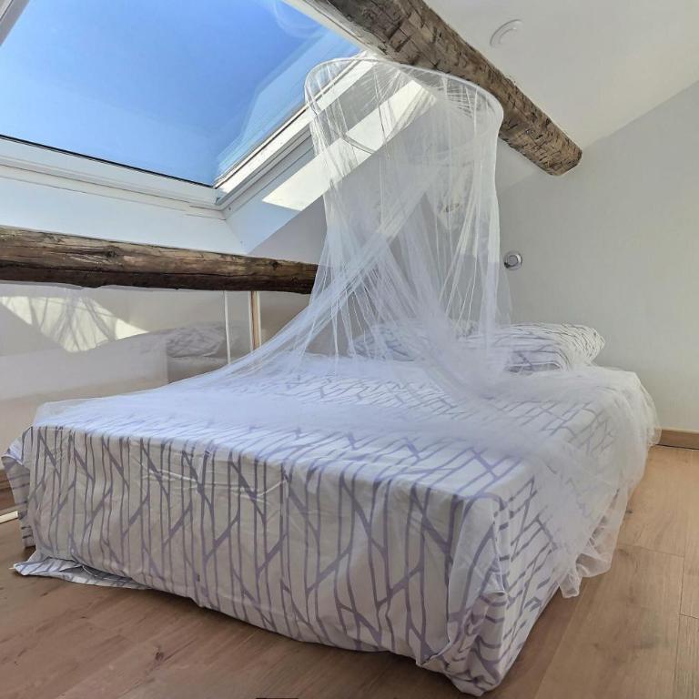 Jungle Loft Béziers centre - Appartement 2 Chambres avec Terrasse - 5
