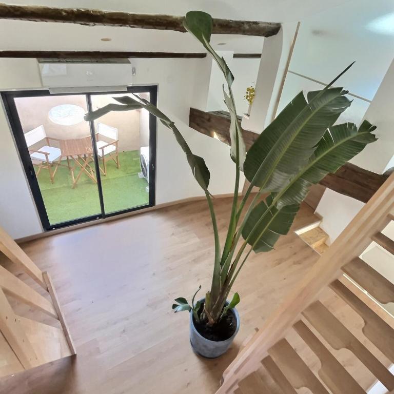 Jungle Loft Béziers centre - Appartement 2 Chambres avec Terrasse - 22