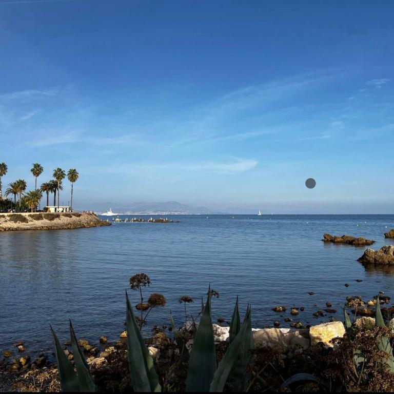 Incredible loft in Vieil Antibes with AC - Appartement - 22