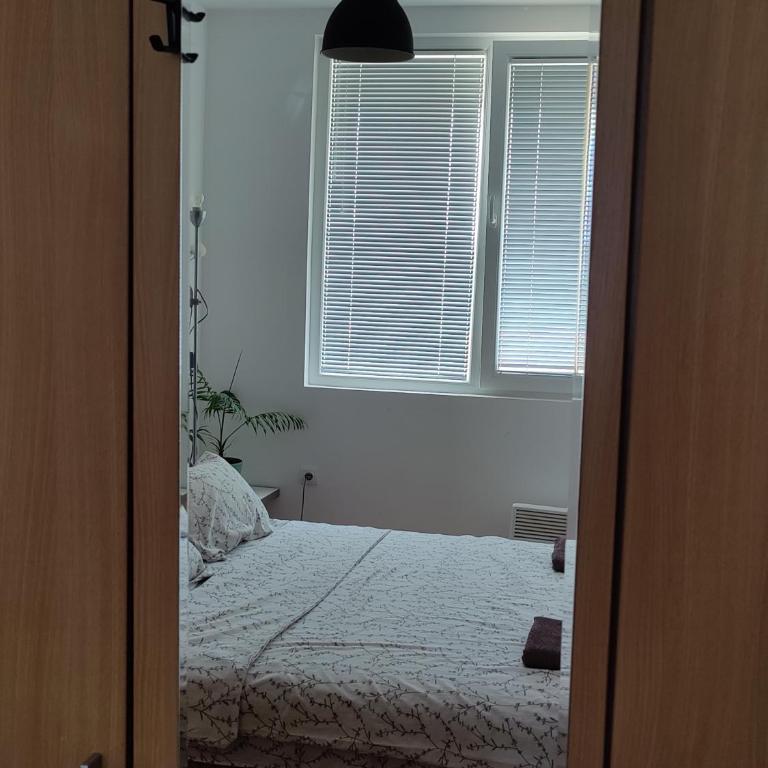 Apartman Aleksic - Apartman sa 1 Spavaćom Sobom - 18