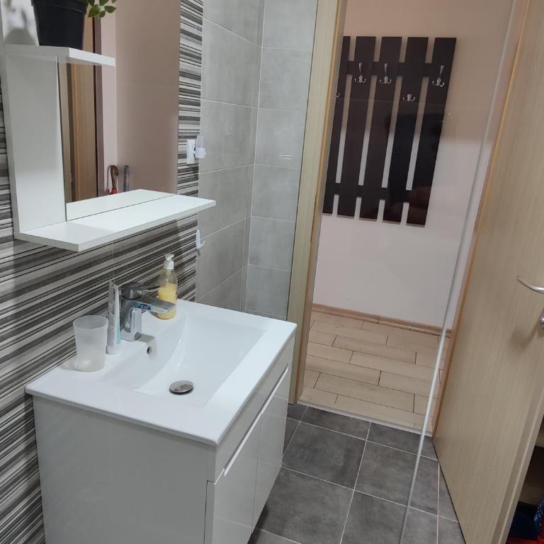 Apartman Aleksic - Apartman sa 1 Spavaćom Sobom - 11