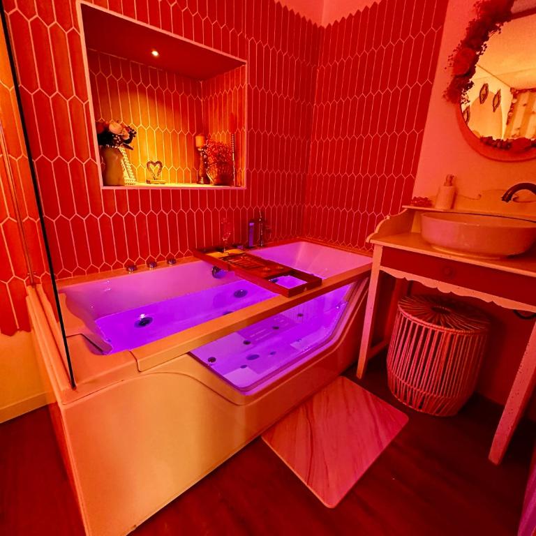 LOVE Room - Balnéo - Ciel Etoilé - Free Wifi - Netflix - Hyper Centre - Appartement 1 Chambre - 16