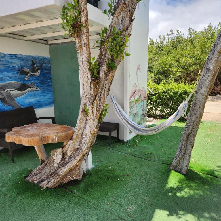 Hotel La Jungla - Habitación Doble Estándar con vistas al mar - 1 o 2 camas - 12