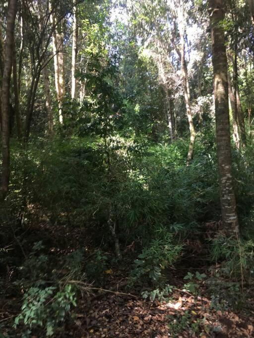 Lindo departamento 3D2B con espectacular vista al lago, con capacidad hasta 7 personas - Apartamento de 3 dormitorios - 14