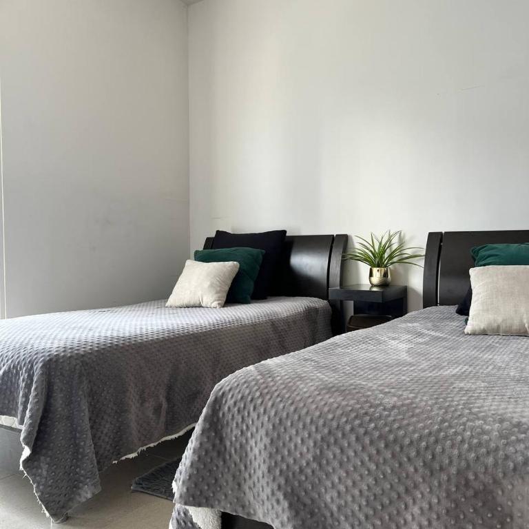 Departamento completo en el corazòn de la ciudad de Mty - Two-Bedroom Apartment - 28