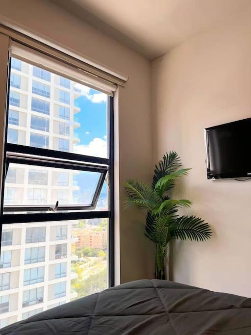Departamento completo en el corazòn de la ciudad de Mty - Two-Bedroom Apartment - 12