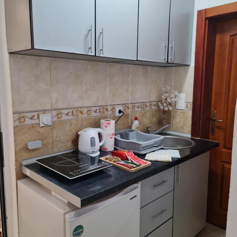 Apartmani Sanja - Apartman sa 1 Spavaćom Sobom - 12