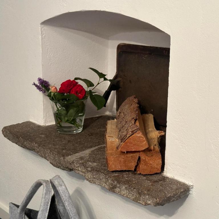 Gartenwohnung Ritter - Apartamento de 2 dormitorios - 20