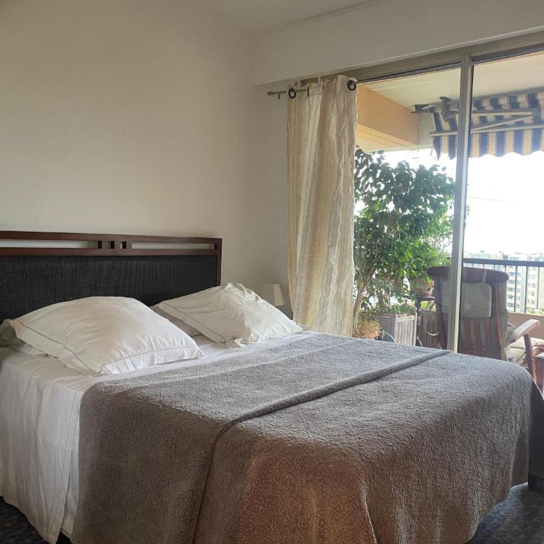 Une terrasse sur Monaco logement 2 chambre - Appartement 2 Chambres - 13