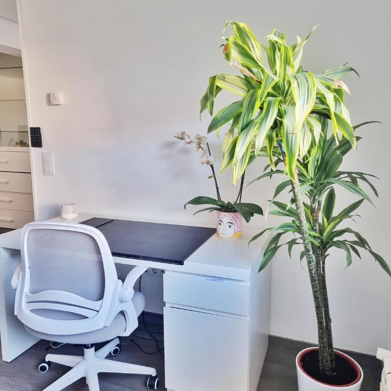 Apartamento renovado cerca zona vieja - Appartamento con 1 Camera da Letto - 10