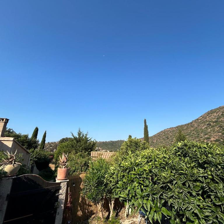 Mazet très calme, dans la colline, plage 15 mins à pied - Maison 1 Chambre - 29