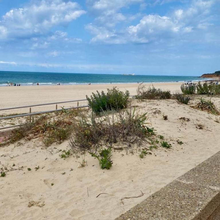 Casa 3 dormitorios La Barrosa - Apartamento de 3 dormitorios - 37