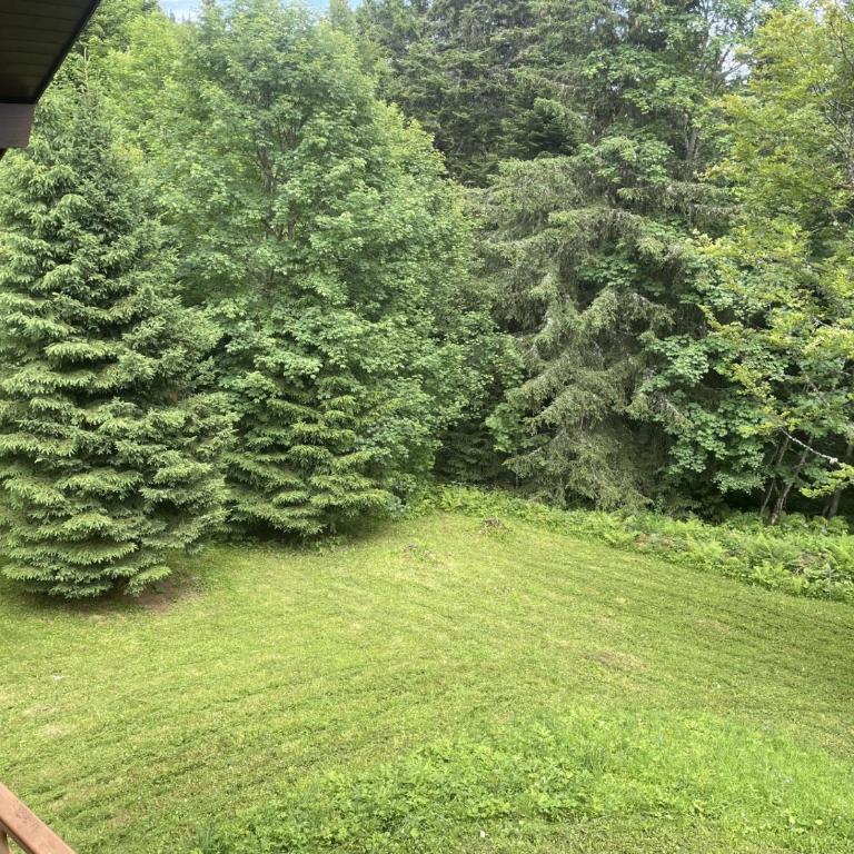 Chalet Les Airelles - Chalet - 22