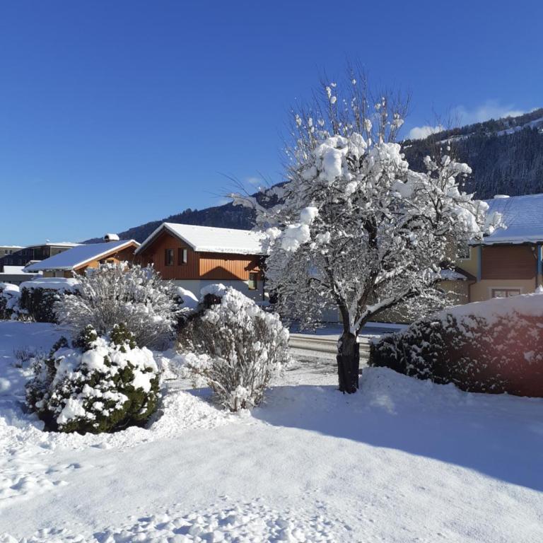 Appartement Steiner - Apartment mit 3 Schlafzimmern - 11