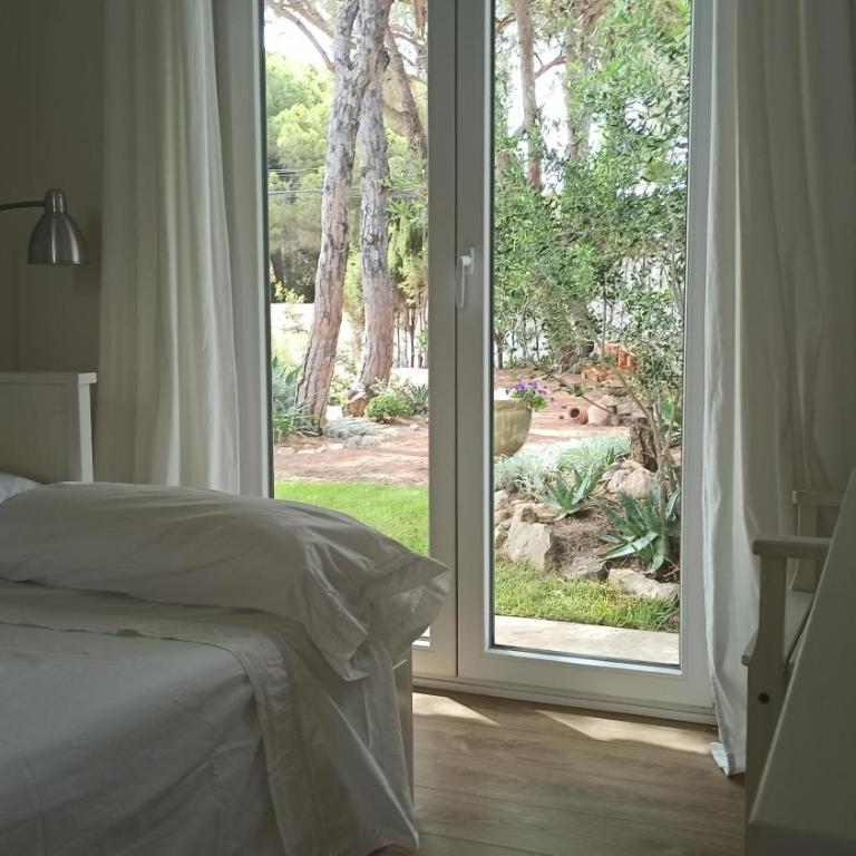 Diseño y luz entre los pinos - Casa - 31