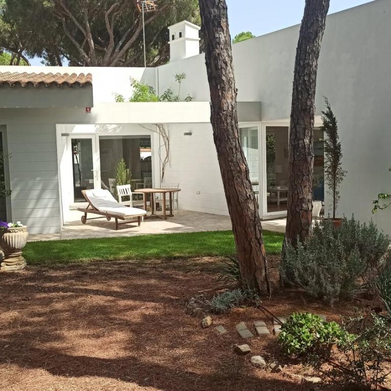 Diseño y luz entre los pinos - Casa - 3