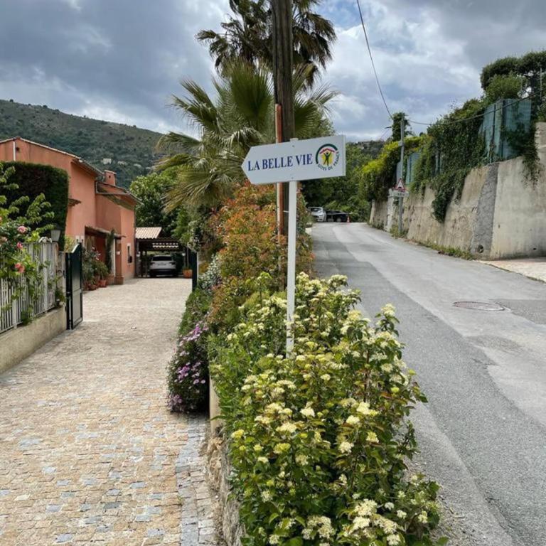 06C-Villa for 8 persons with pool near Nice - Villa - 65
