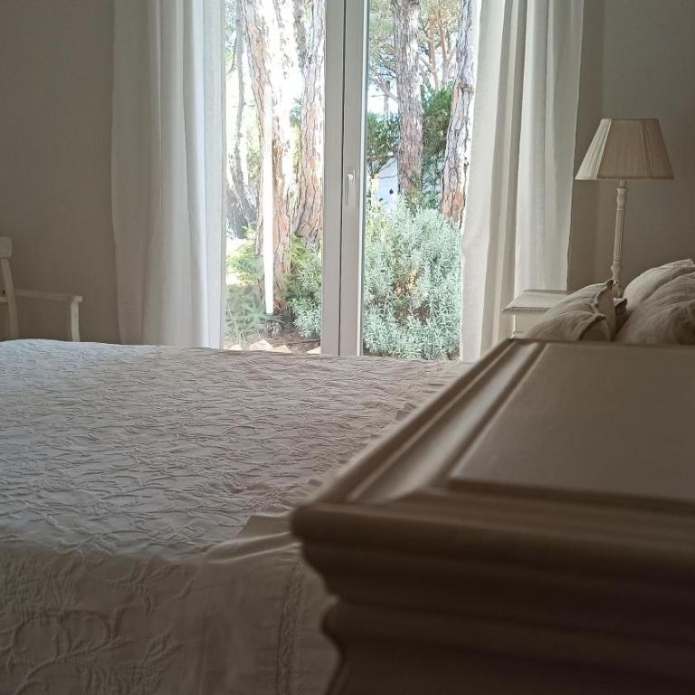 Diseño y luz entre los pinos - Casa - 35