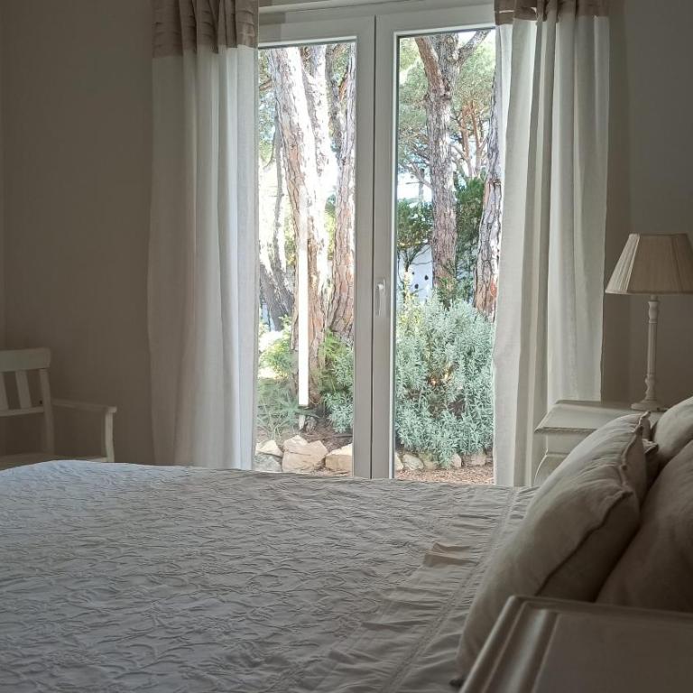 Diseño y luz entre los pinos - Casa - 37