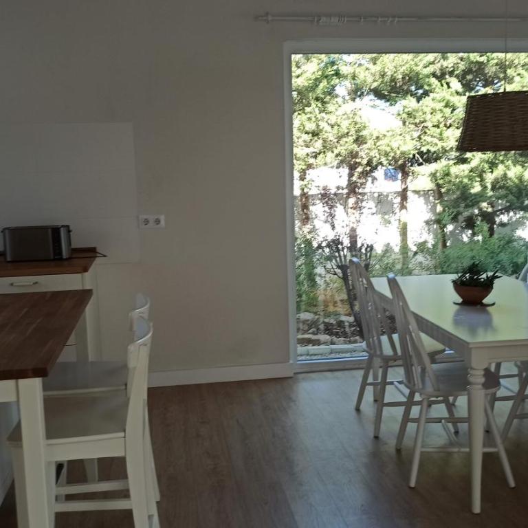 Diseño y luz entre los pinos - Casa - 15