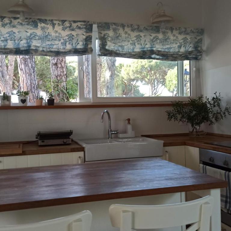 Diseño y luz entre los pinos - Casa - 12