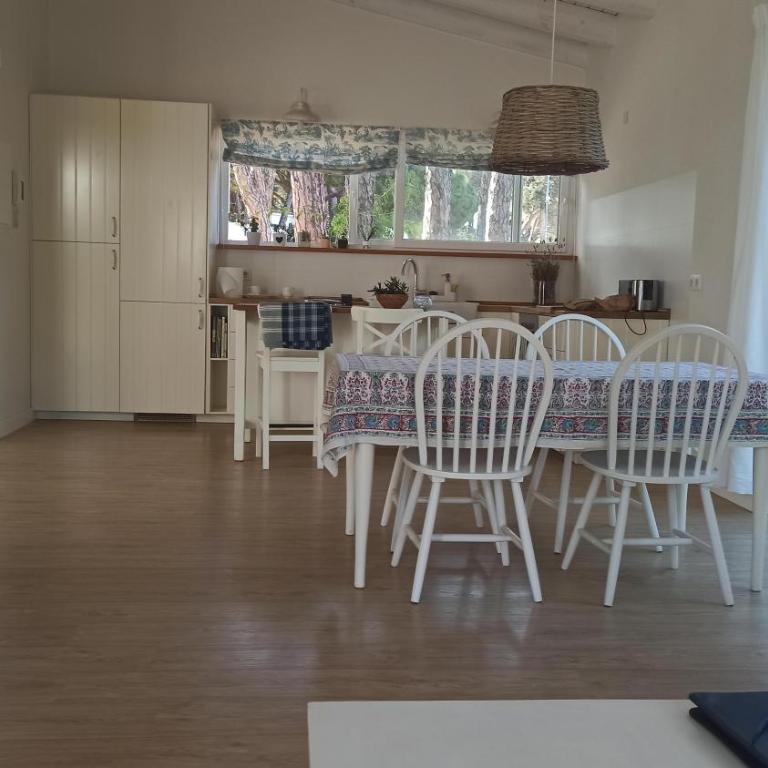Diseño y luz entre los pinos - Casa - 18