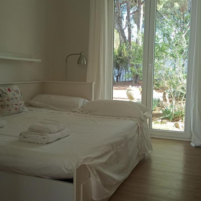 Diseño y luz entre los pinos - Casa - 32