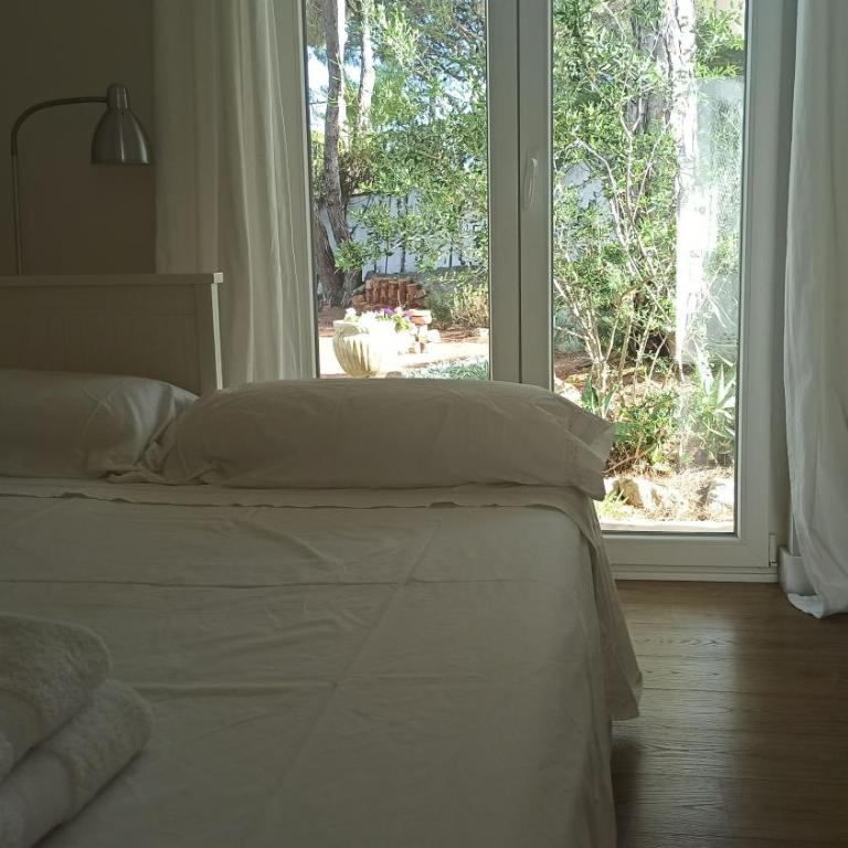 Diseño y luz entre los pinos - Casa - 33