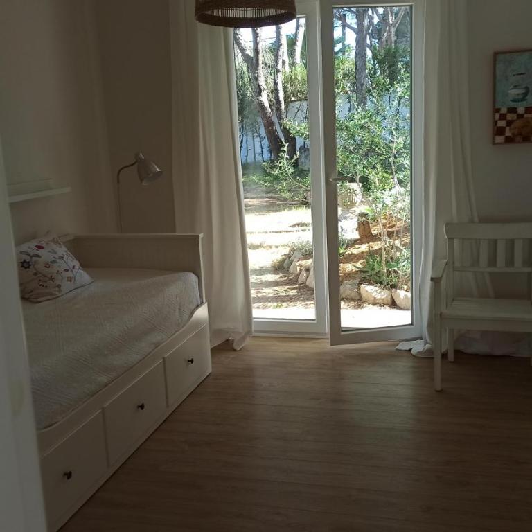 Diseño y luz entre los pinos - Casa - 28