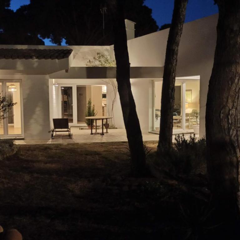 Diseño y luz entre los pinos - Casa - 64