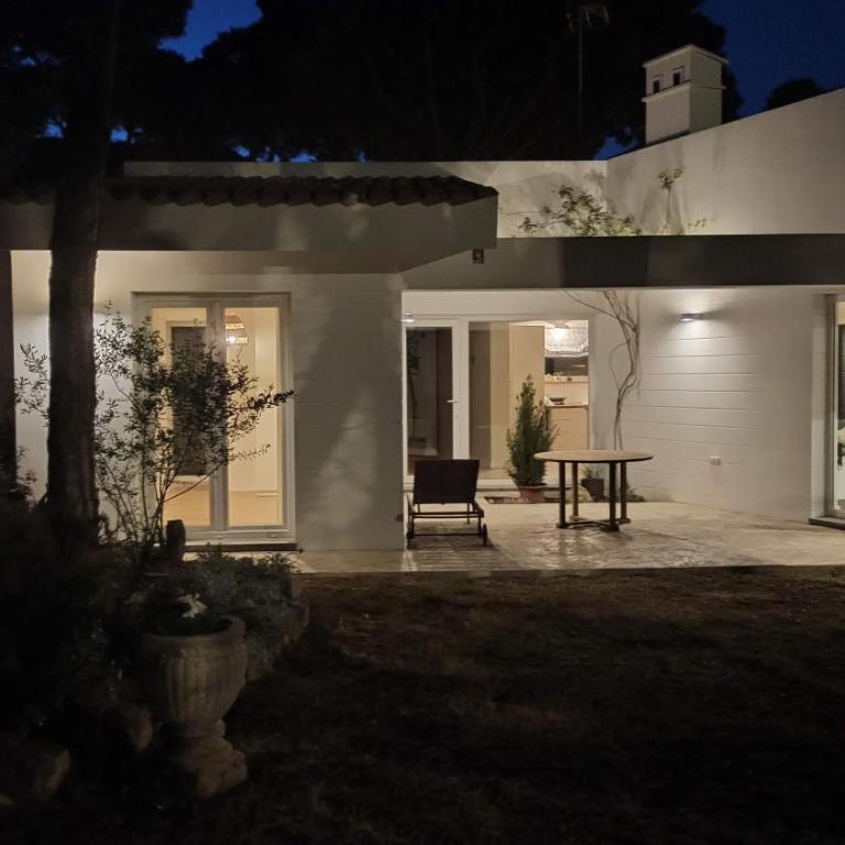 Diseño y luz entre los pinos - Casa - 63