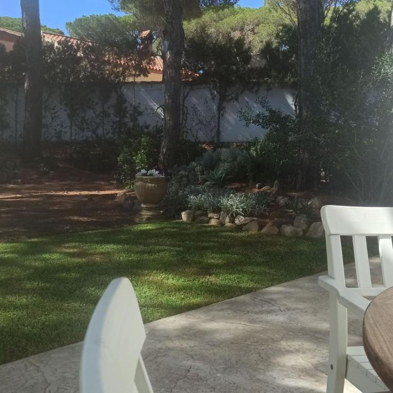 Diseño y luz entre los pinos - Casa - 57