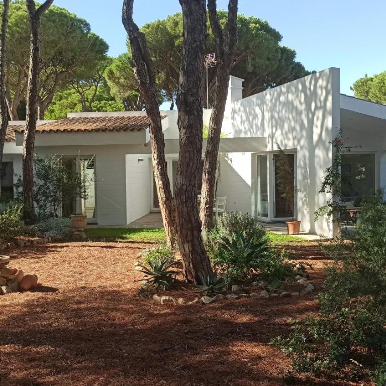 Diseño y luz entre los pinos - Casa - 49