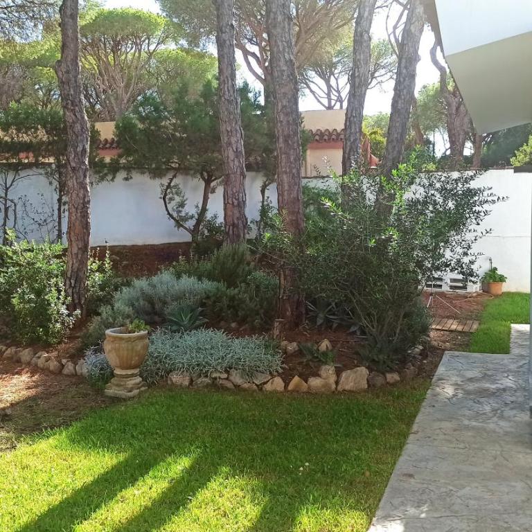 Diseño y luz entre los pinos - Casa - 44