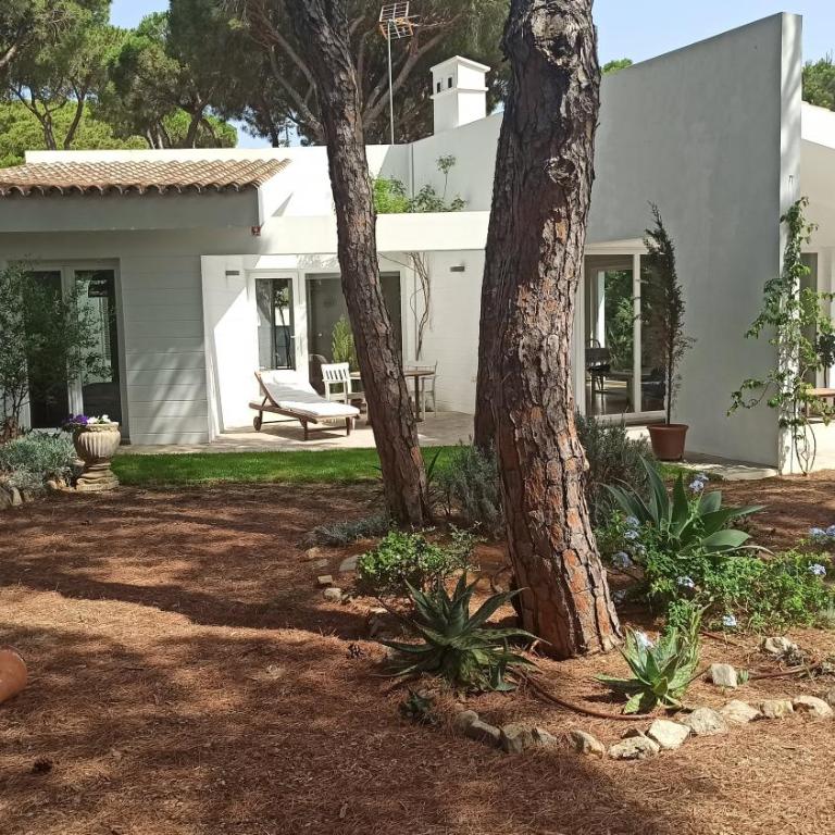 Diseño y luz entre los pinos - Casa - 53