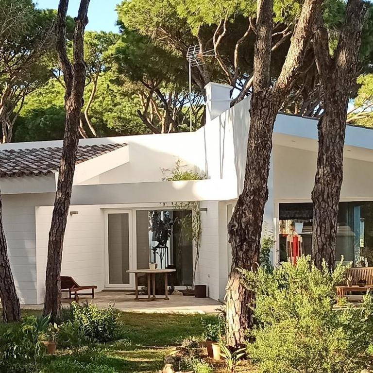 Diseño y luz entre los pinos - Casa - 1