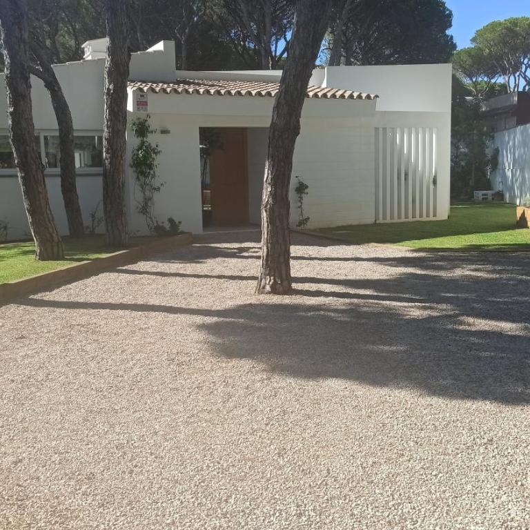 Diseño y luz entre los pinos - Casa - 8