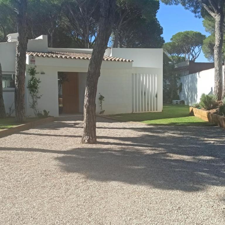 Diseño y luz entre los pinos - Casa - 58