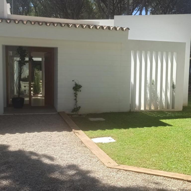 Diseño y luz entre los pinos - Casa - 9