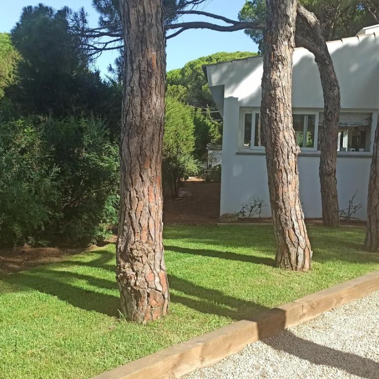 Diseño y luz entre los pinos - Casa - 67
