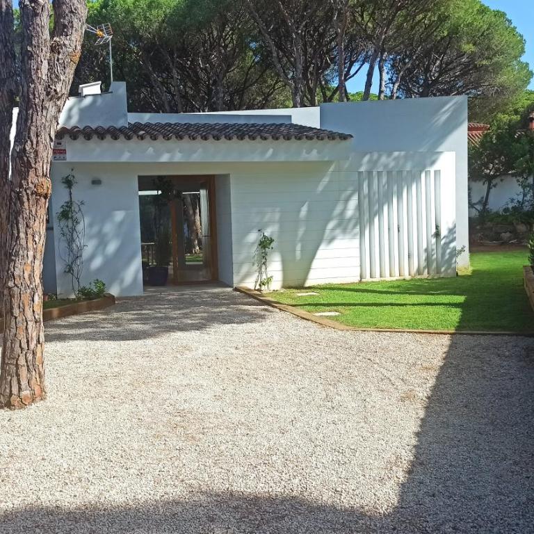 Diseño y luz entre los pinos - Casa - 66