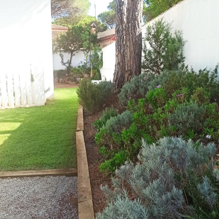 Diseño y luz entre los pinos - Casa - 46