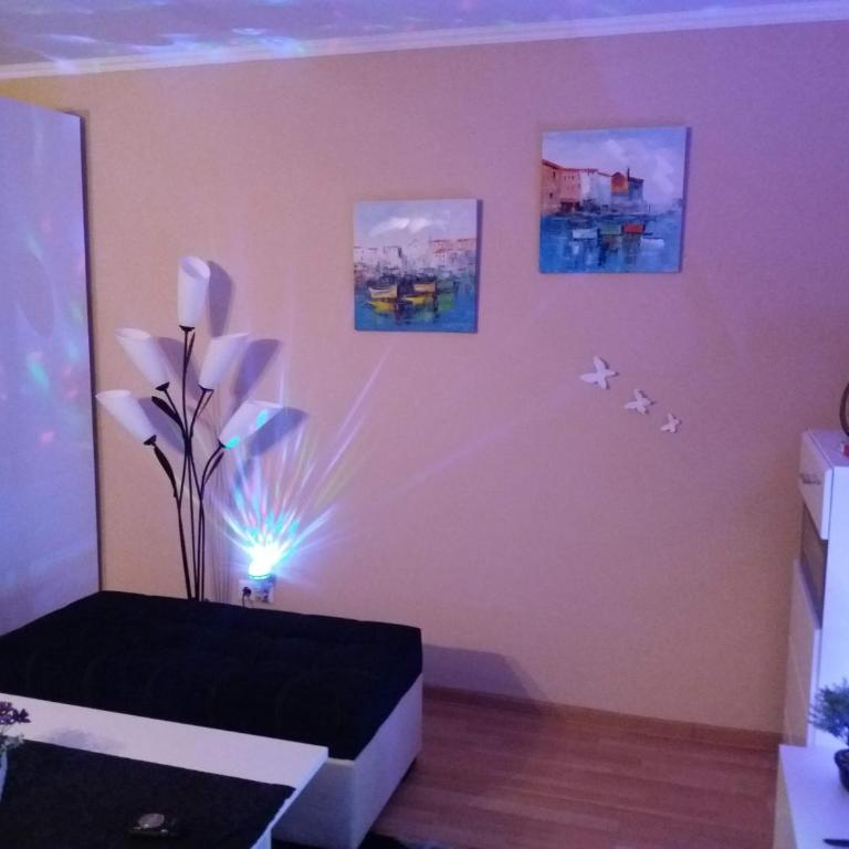 Tare - One-Bedroom Apartment - 2