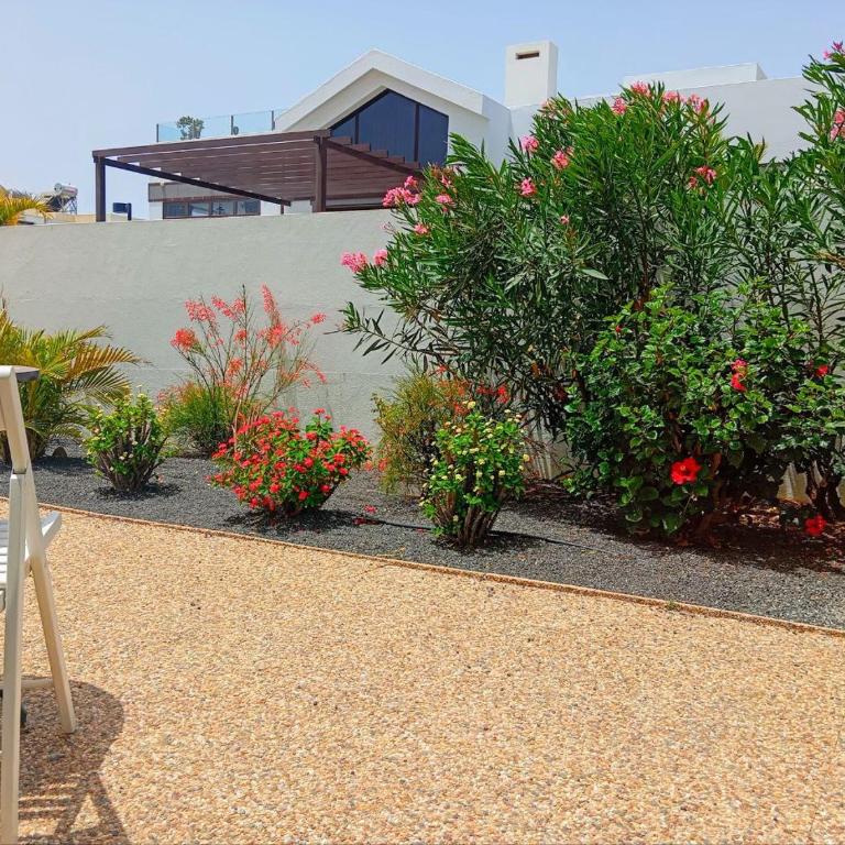 Las Buganvillas 77 - One-Bedroom Apartment - 28