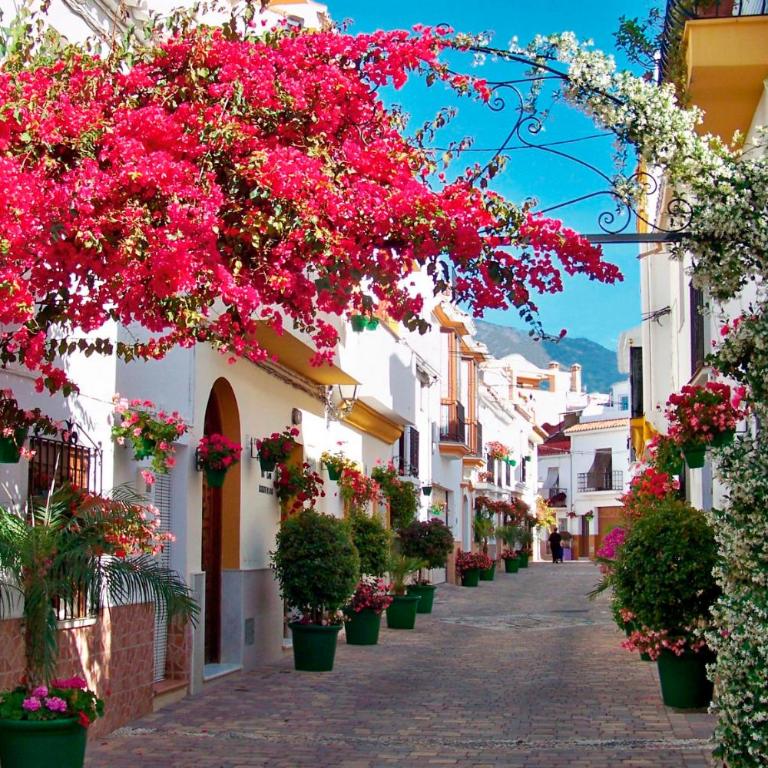 Casa Siesta in the heart of Estepona - 500 meters from the beach - Apartment with Terrace and city views - 20