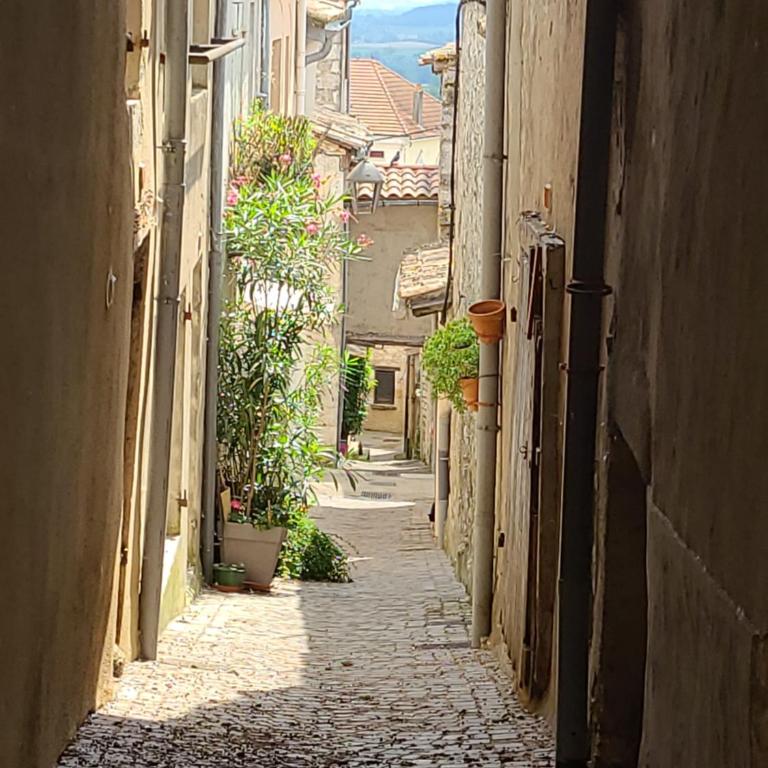 Maison de caractère dans une belle bastide - Haus mit 1 Schlafzimmer - 24