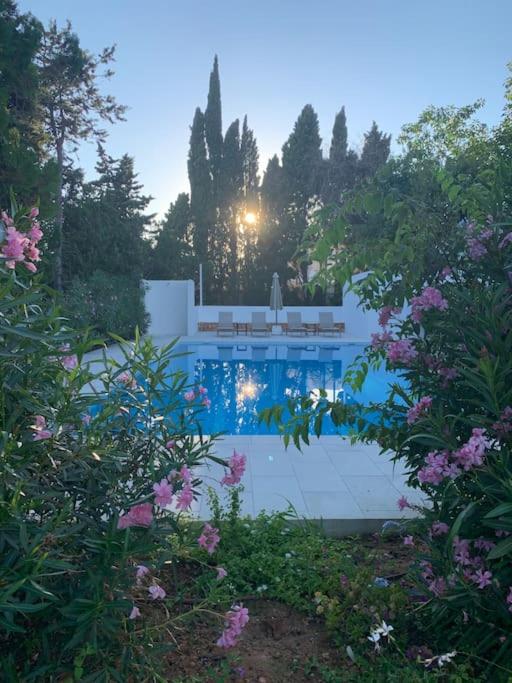 Villa en zona Playa D'en Bossa con gran piscina - Villa - 22