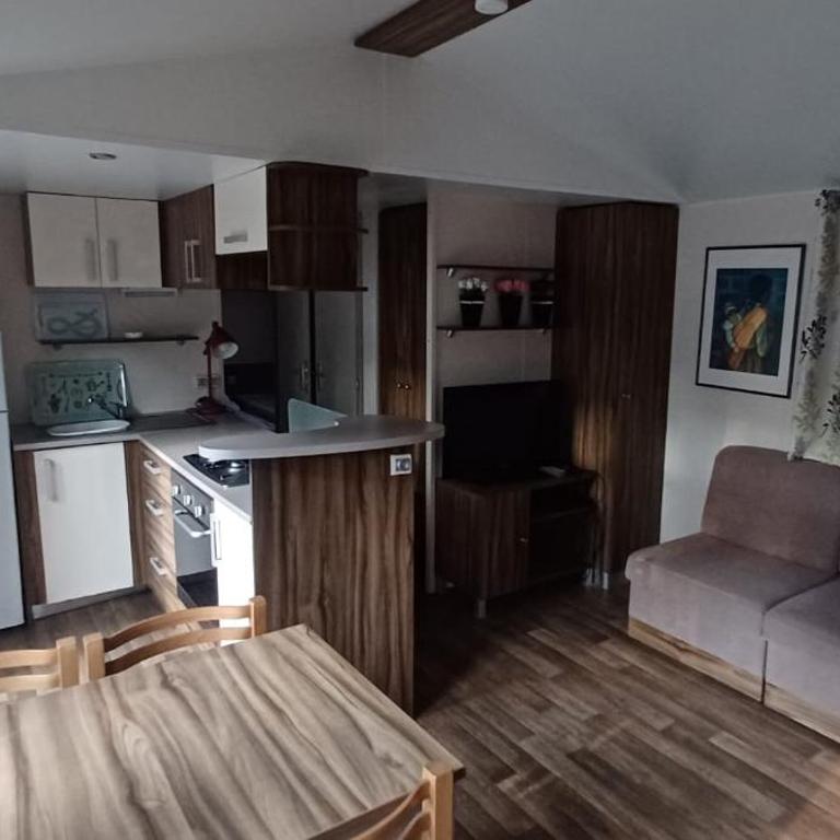 La Baume La Palmeraie Camping Resort - Mobile Home - 9